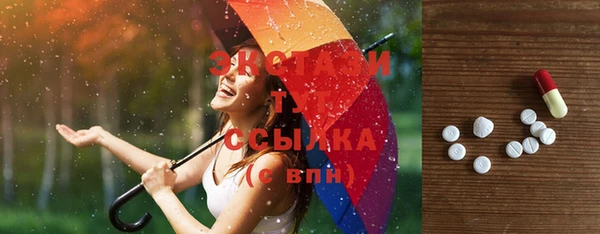 ECSTASY Богородск