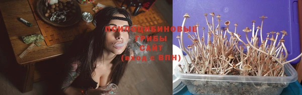 ешки Бугульма