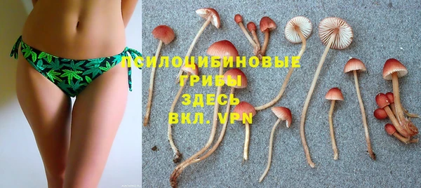 винт Бородино