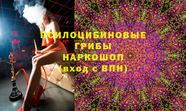 ECSTASY Богородск